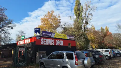 Wulkanizacja